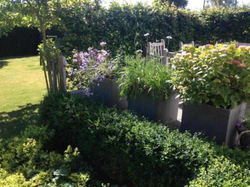 a garden with flowers and plants in cement pots at Maison Lison - Gîte au Cap Gris Nez - Audinghen in Audinghen
