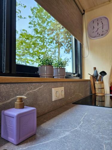 a purple box sitting in front of a window at Tiny House De Hagekrûper in Westergeest
