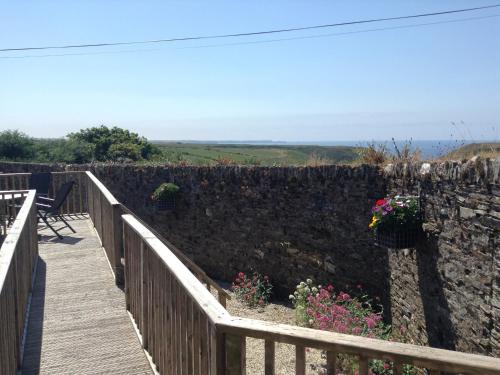 a wooden walkway with a retaining wall and flowers at Purlinney in Treknow