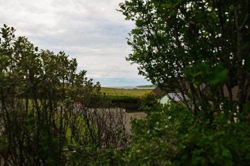 a view of a field from behind some trees at Aurora - Self Catering, Kirkwall, Quiet Location with Luxury Hot Tub in Orkney