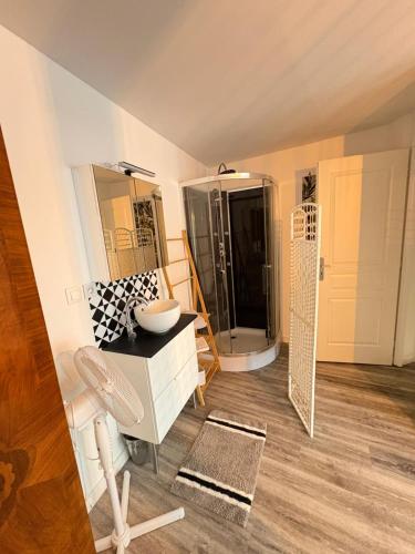 une salle de bain avec un lavabo et une douche dans l'établissement Nouveau! Appartement spacieux en Hypercentre, à Colmar