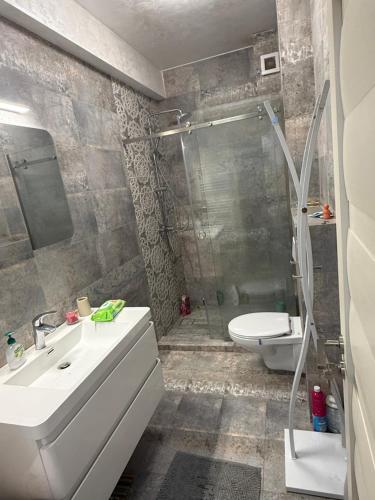 Un baño con lavabo, ducha e inodoro. en Apartament Luxury RAL, en Mamaia