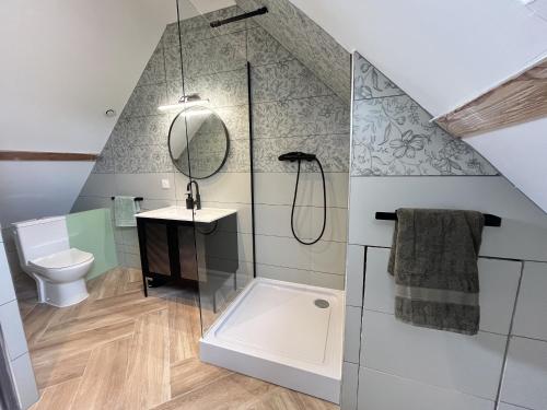 een badkamer met douche, wastafel en toilet bij La Petite Saulaie - Proche circuit 24h - 6 pers in Changé