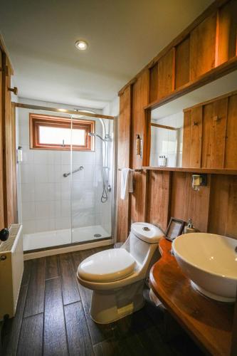 a bathroom with a toilet and a sink and a shower at Alto Melimoyu Hotel & Patagonia in La Junta