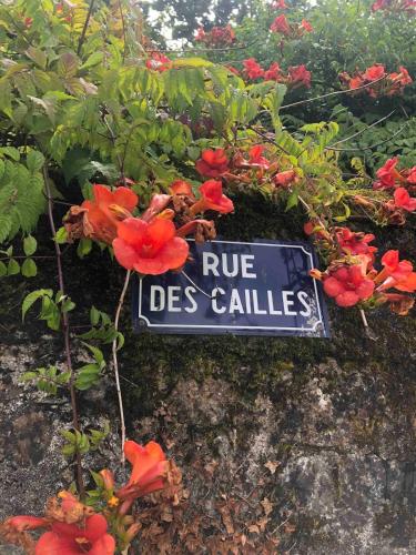 a sign that saysrue des callies on a rock with flowers at Gite Coccinelle in the medieval town of Confolens in Confolens