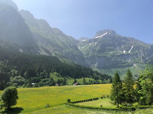 un champ vert avec des montagnes en arrière-plan dans l'établissement Independent studio in a chalet, à Mont-Saxonnex