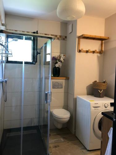 a bathroom with a toilet and a glass shower at Independent studio in a chalet in Mont-Saxonnex