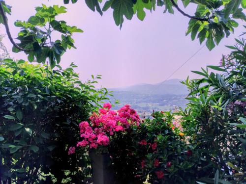 Gallery image of Mas De La Coste in Fayence