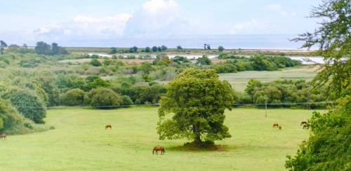 a tree in a green field with horses grazing at Tinakilly Country House Hotel in Rathnew