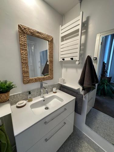 une salle de bain avec un lavabo et un miroir dans l'établissement Les Floralies Chapitre Canebière, à Marseille