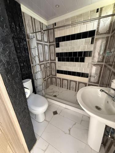a bathroom with a toilet and a sink at Green House მწვანე სახლი in Sighnaghi