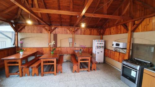 Gallery image of Vila Camelia in Văleni
