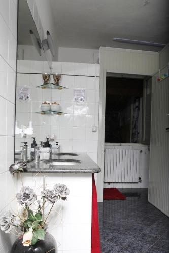 a bathroom with a sink and a counter top at Appartamento con Stanze Condivise in Busto Garolfo