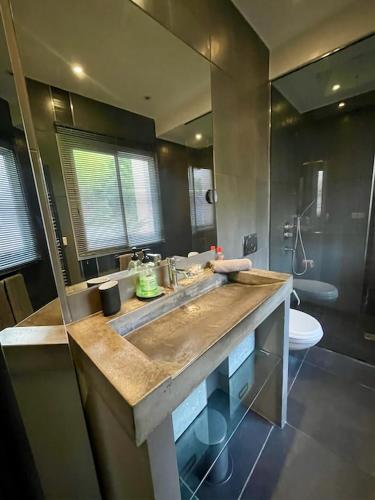 La salle de bains est pourvue d'un grand lavabo et de toilettes. dans l'établissement VILLA Loakel, à La Gaude