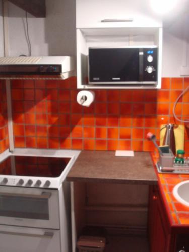 une cuisine avec un micro-ondes et une cuisinière four supérieur dans l'établissement Cosy appartement quartier Orangerie, à Strasbourg