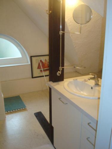 une salle de bain avec un lavabo et un miroir dans l'établissement Cosy appartement quartier Orangerie, à Strasbourg