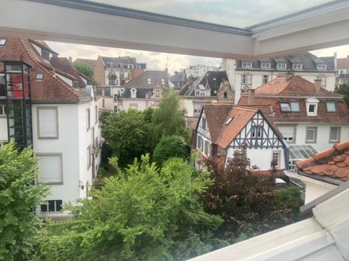 Cosy appartement quartier Orangerie