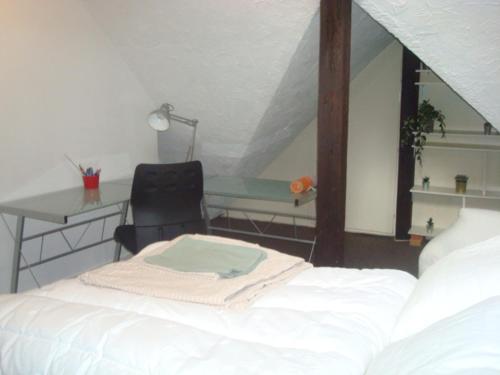 Cosy appartement quartier Orangerie
