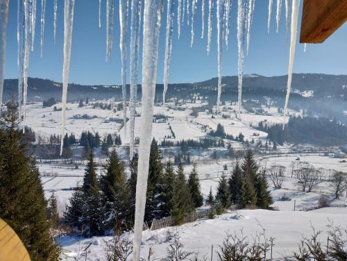 a view of a snow covered field with icicles at Cabana Dumbrava Cerbilor in Şarul Dornei