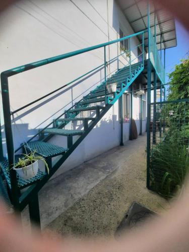 a green staircase in a building with plants on it at Solmaris in Odesa