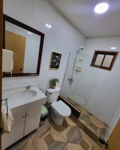 a bathroom with a toilet and a sink and a mirror at Cabañas Torres Del Bosque in Pucón