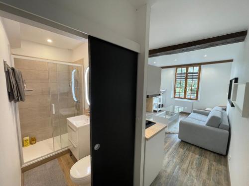 - une salle de bains pourvue de toilettes et d'un canapé dans l'établissement Appartement charmant hyper centre, à Orléans
