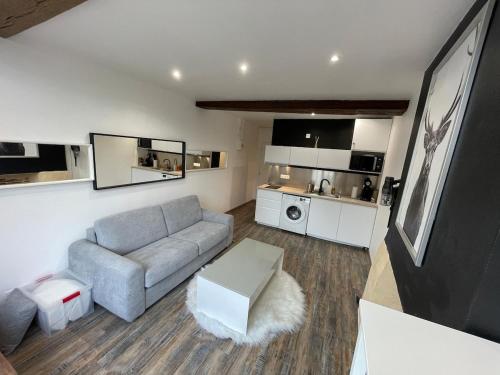 un salon avec un canapé et une table dans l'établissement Appartement charmant hyper centre, à Orléans