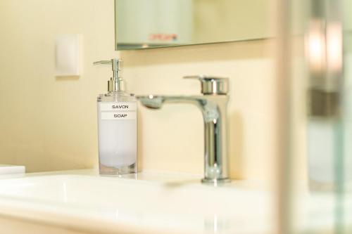 a bottle of soap sitting on a bathroom sink at Le Petit Jardin - Charmant studio pour 2 personnes centre historique in Clermont-Ferrand