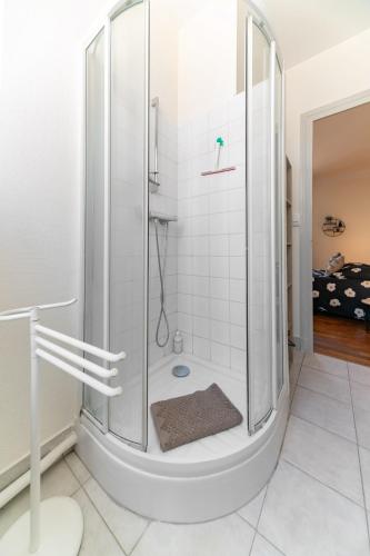 une douche avec une porte vitrée dans une salle de bain dans l'établissement Le Desbrest - Appartement calme et lumineux en centre ville, à Vichy