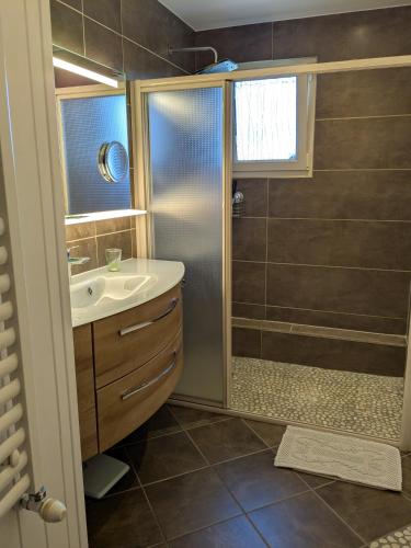 une salle de bain avec douche et lavabo dans l'établissement Maison Du cerf - proche du circuit et du golf des 24H, à Mulsanne