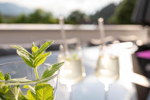 a group of glasses sitting on a table with a plant at Das Kirchschlager in Ledenitzen