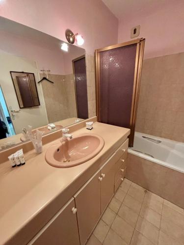 une salle de bain avec un lavabo, un miroir et une baignoire dans l'établissement 2 chambres, garage voiture, résidence calme, à Villeurbanne