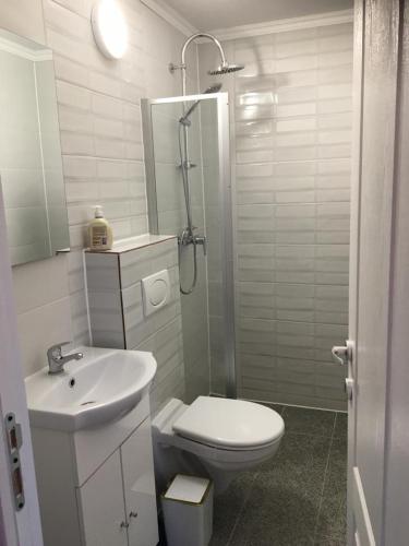 a bathroom with a toilet and a sink and a shower at Casa Maya & Cristi in Orşova
