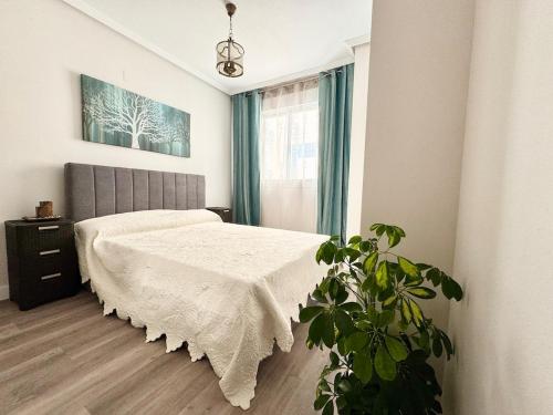 a bedroom with a bed and a plant in it at Vacation Apartment in Els Poblets