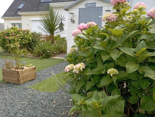 a garden with pink flowers and a house at Ty Sterenn e Giulia 700m de la plage de Lodonnec in Loctudy