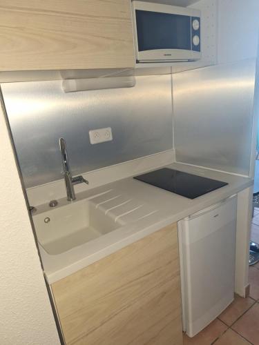 une cuisine avec un évier et un micro-ondes dans l'établissement Studio 2 pers proche rempart, à Avignon
