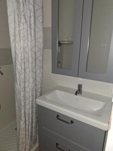 une salle de bain avec un lavabo et un rideau de douche dans l'établissement Studio 2 pers proche rempart, à Avignon
