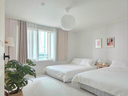 a white bedroom with two beds and a potted plant at The Bom Stay in Daegu