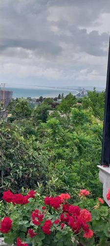 a view of the ocean from a balcony with red flowers at Tsikhisdziri Panorama Cottage in K'obulet'i