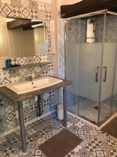 une salle de bain avec un lavabo et une douche dans l'établissement gîte d'Annie zoo Beauval, à Noyers-sur-Cher