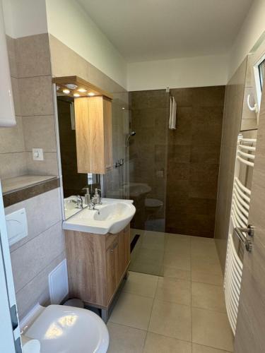 a bathroom with a sink and a toilet and a shower at Sziget Apartmanház in Baja