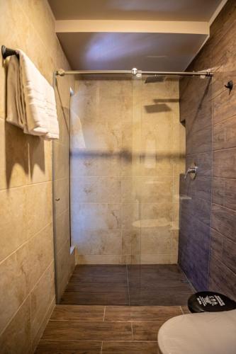 a bathroom with a shower with a glass door at Mestiza Hotel Boutique in Ipiales