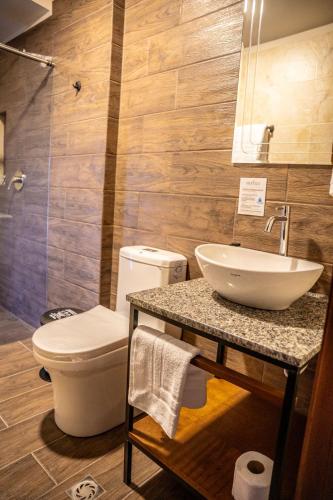 a bathroom with a white toilet and a sink at Mestiza Hotel Boutique in Ipiales