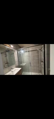 une salle de bain avec douche et lavabo dans l'établissement Le Concorde, à Thonon-les-Bains