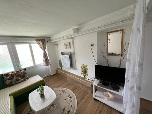 Μια τηλεόραση ή/και κέντρο ψυχαγωγίας στο Apartments Obradović Milan