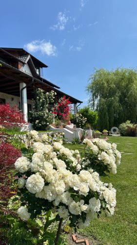 a bush of white flowers in front of a house at Conacul Paloși in Horezu