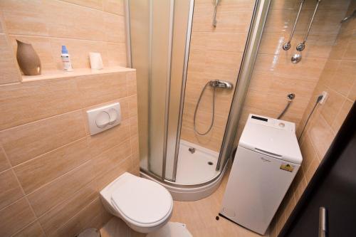 uma pequena casa de banho com chuveiro e WC em Apartment Mirjana em Budva