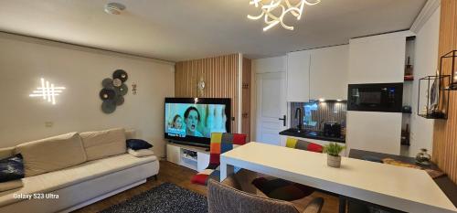 un salon avec un canapé et une télévision dans l'établissement Villa Francia, Cannes,minimum 5 nuits de sejour, à Cannes