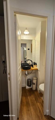 une salle de bain avec un lavabo et des toilettes dans l'établissement Villa Francia, Cannes,minimum 5 nuits de sejour, à Cannes