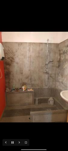La salle de bains est pourvue d'un lavabo et d'une douche. dans l'établissement Appartement, à Arles